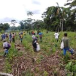 Preocupante panorama por aumento de cultivos de coca, cifra en Nariño se disparó en un 62%