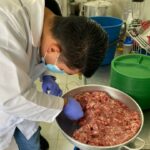 Procuraduría alerta sobre posible entrega de carne de caballo en PAE de La Ceja