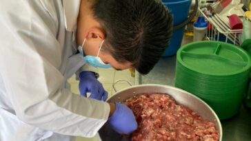 Procuraduría alerta sobre posible entrega de carne de caballo en PAE de La Ceja