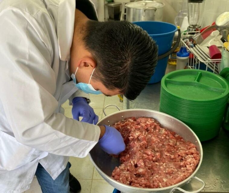 Procuraduría alerta sobre posible entrega de carne de caballo en PAE de La Ceja