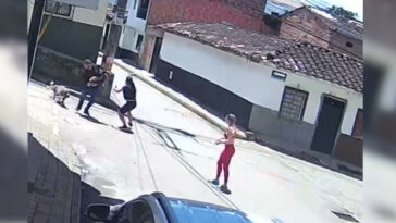 [Video] Un perrito y su humano fueron atacados salvajemente por otro perro en El Carmen de Viboral