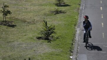 ¿Qué resultados dejó el día sin carro y sin moto de Duitama, Boyacá?