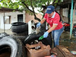 Administración municipal continúa trabajando en la lucha contra el Dengue