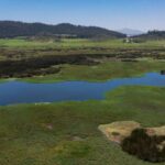 Así es la laguna La Herrera, un paraíso natural en la sabana