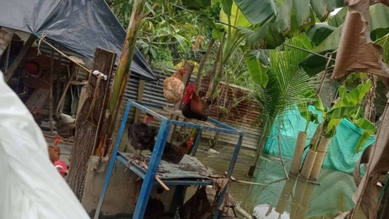 Casas inundadas; el triste panorama en Sierra Chiquita, Montería, tras fuertes lluvias