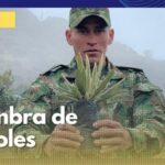 Con viveros y siembras masivas, soldados en Caldas le apuestan a la reforestación