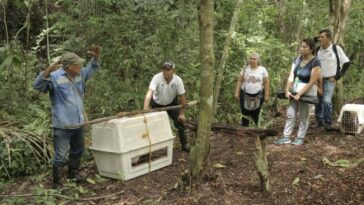 Corpoguajira libera siete monos aulladores.