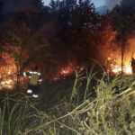 Crece el impacto de los incendios forestales 8 11 septiembre, 2022