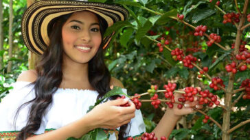 El Valle y el Huila, se acercan dos grandes zonas cafeteras del país