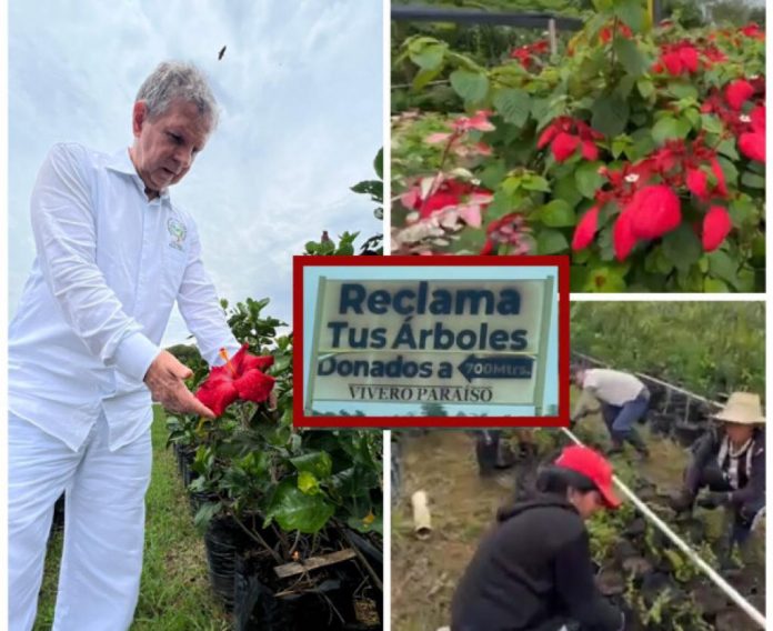 Vivero Paraíso jardín más grande de Colombia