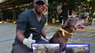 perros policias de cali