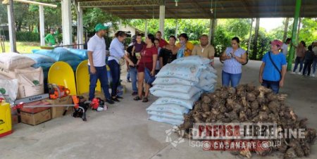 Familias víctimas vulnerables de Saravena recibieron insumos agropecuarios