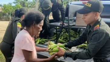Familias vulnerables de Moñitos recibieron plátanos