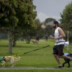 Investigan posible envenenamiento de perritos en parques de Bogotá