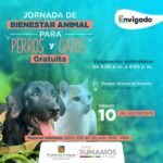 Jornada de cuidado para los perros y gatos, en Envigado