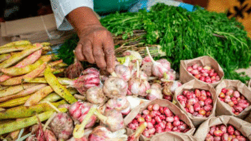 Mercado Étnico Campesino este fin de semana en Azúcar Buena