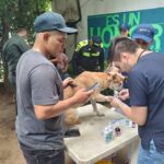 Realizan en Riohacha jornada integral en beneficio de las mascotas