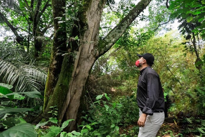 Revocan licitación del Parque Metropolitano Alma Viva a la que señalaban de estar «amañada»