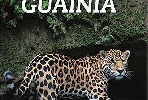 Se lanza el primer libro que compila la riqueza natural y cultural del departamento de Guainía