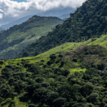 “Sierra Nevada y Serranía del Perijá deben ser incluidas como zonas de paz”: PDHAL