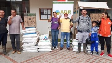 105 familias de Risaralda se fortalecen en la siembra de cacao, con el apoyo de la ADR