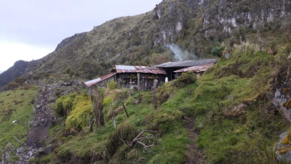 1100 hectáreas sería el área afectada por ganadería ilegal en el Parque Los Nevados