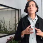Acuerdo de Escazú: MinAmbiente habla sobre cómo cambiará la aprobación de proyectos en Colombia