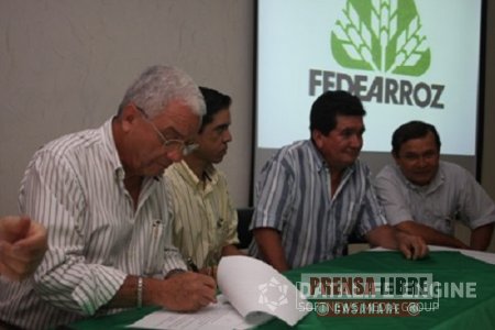 Asambleas de arroceros hoy y mañana y feria tecnológica Expoarroz realiza Fedearroz en Casanare