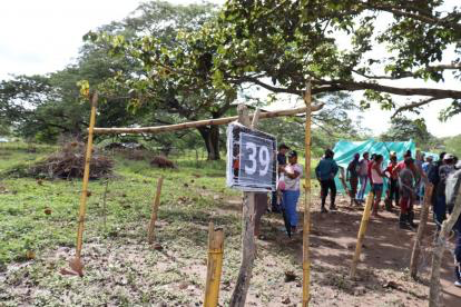 Autoridades desalojan más de 200 invasores en Zona Bananera