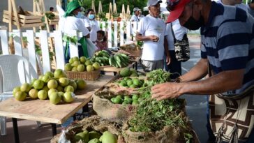 Campesinos de Santa Ana  asisten por primera vez a  feria agrícola