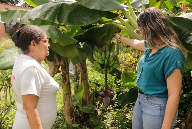 Con gallinas ponedoras y cultivos de pescado, crean Asociación de Mujeres Emprendedoras