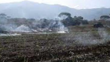 Confrontación por tierras dejó dos heridos a machete en Miranda, Cauca