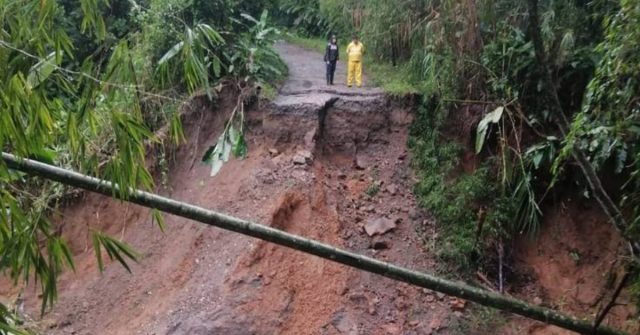Deslizamientos y caída de árboles, emergencias registradas por las fuertes lluvias