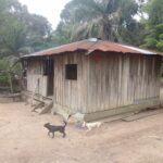 El dilema de la propiedad de la tierra en el suroccidente de Cumaribo