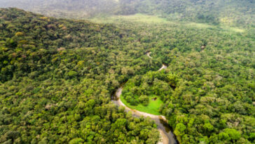 Este martes llega la feria ‘ExpoBosques’ a Villavicencio