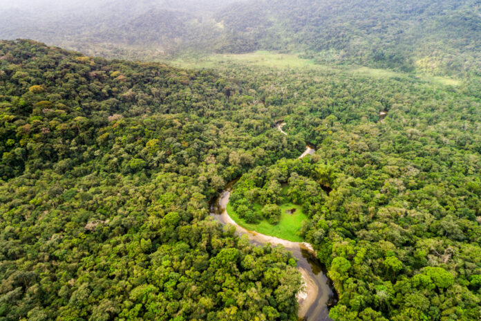 Este martes llega la feria ‘ExpoBosques’ a Villavicencio