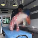 Hombre fue atacado por un felino en Maní