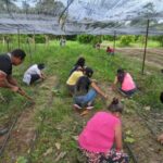 Huertas y proyectos productivos mejorarían seguridad alimentaria en zonas de Arauca