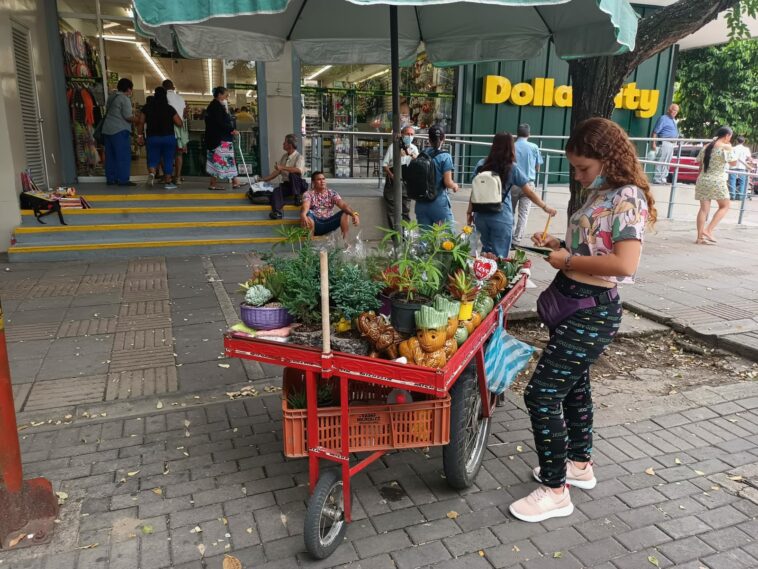 La vendedora de plantas callejera￼