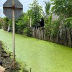 Más de 3 mil damnificados reporta Cotorra por inundaciones