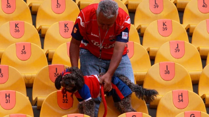 Medallo Quinta Estrella, DIM, Deportivo Independiente Medellín Giraldo Zuluaga, mascota, fútbol, Q’Hubo Medellín