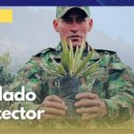 Neira, el soldado protector de los frailejones del Parque Natural Los Nevados