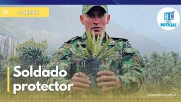 Neira, el soldado protector de los frailejones del Parque Natural Los Nevados