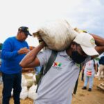 Oficina Asesora para Mercados Públicos de la Alcaldía de Cartagena lideró recuperación de espacio invadido en zona de bajamar en la Ciénaga de Las Quintas