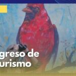 Pajareros de Caldas se pueden inscribir en el 10° Congreso de Aviturismo 2022