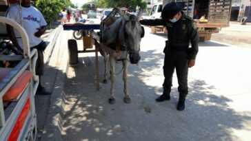 Policía Nacional lidera campaña contra el maltrato animal en Bolívar