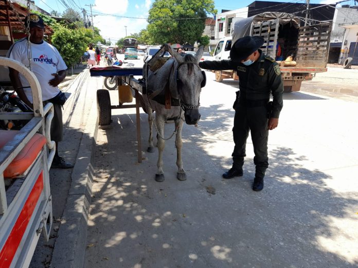 Policía Nacional lidera campaña contra el maltrato animal en Bolívar
