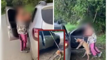 Rechazan el maltrato animal: Una mujer ató a su perro al auto y lo arrastró por el valle