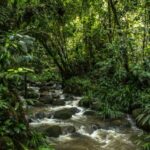 Renuevan convenio para la conservación de fuentes hídricas en Villavicencio