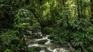 Renuevan convenio para la conservación de fuentes hídricas en Villavicencio